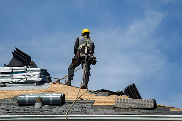 Professional Roofing technician working in Plano, TX